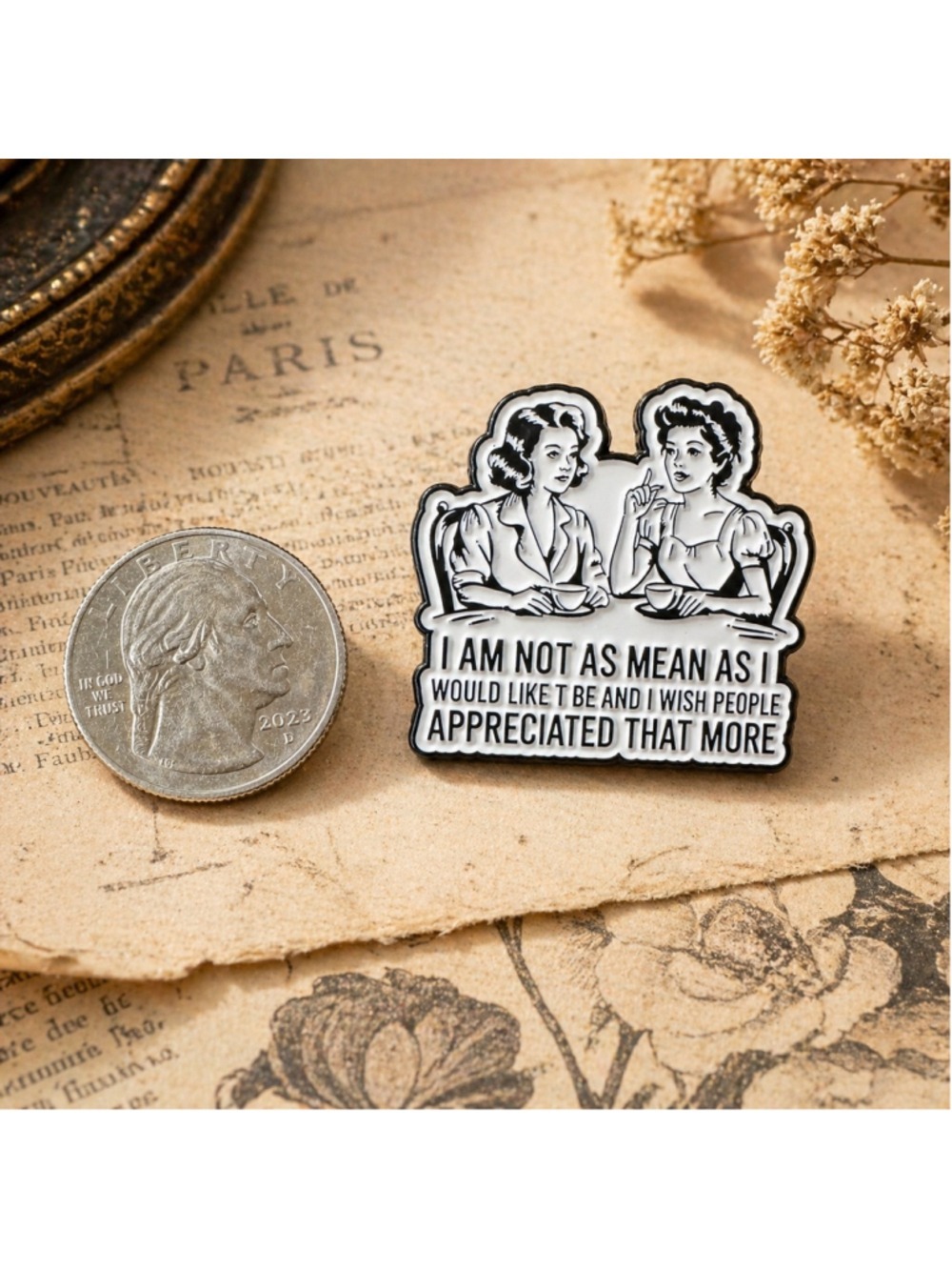 Funny I Am Not As Mean As I Would Like To Be Enamel Pin Vintage Style NEW